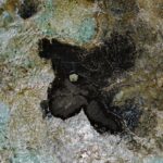 Budget Travel - A small black rock in the middle of the ocean